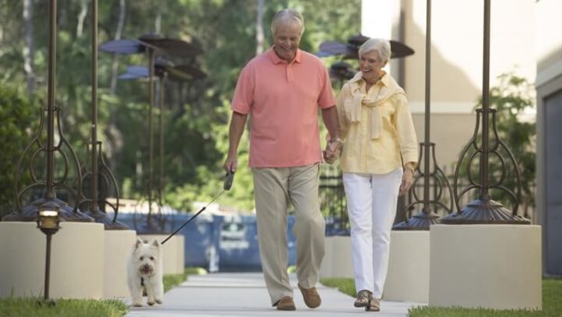 couple-walking-dog-sun-and-seniors
