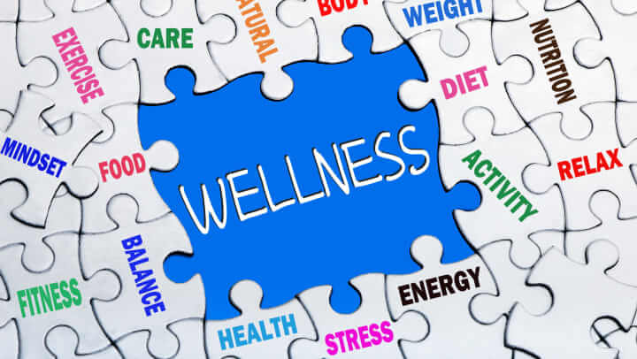 Wellness Puzzle