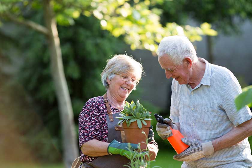 Senior couple potting plants