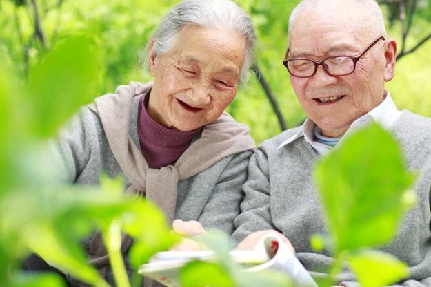 happy senior Chinese couple reading book outdoor in the yard