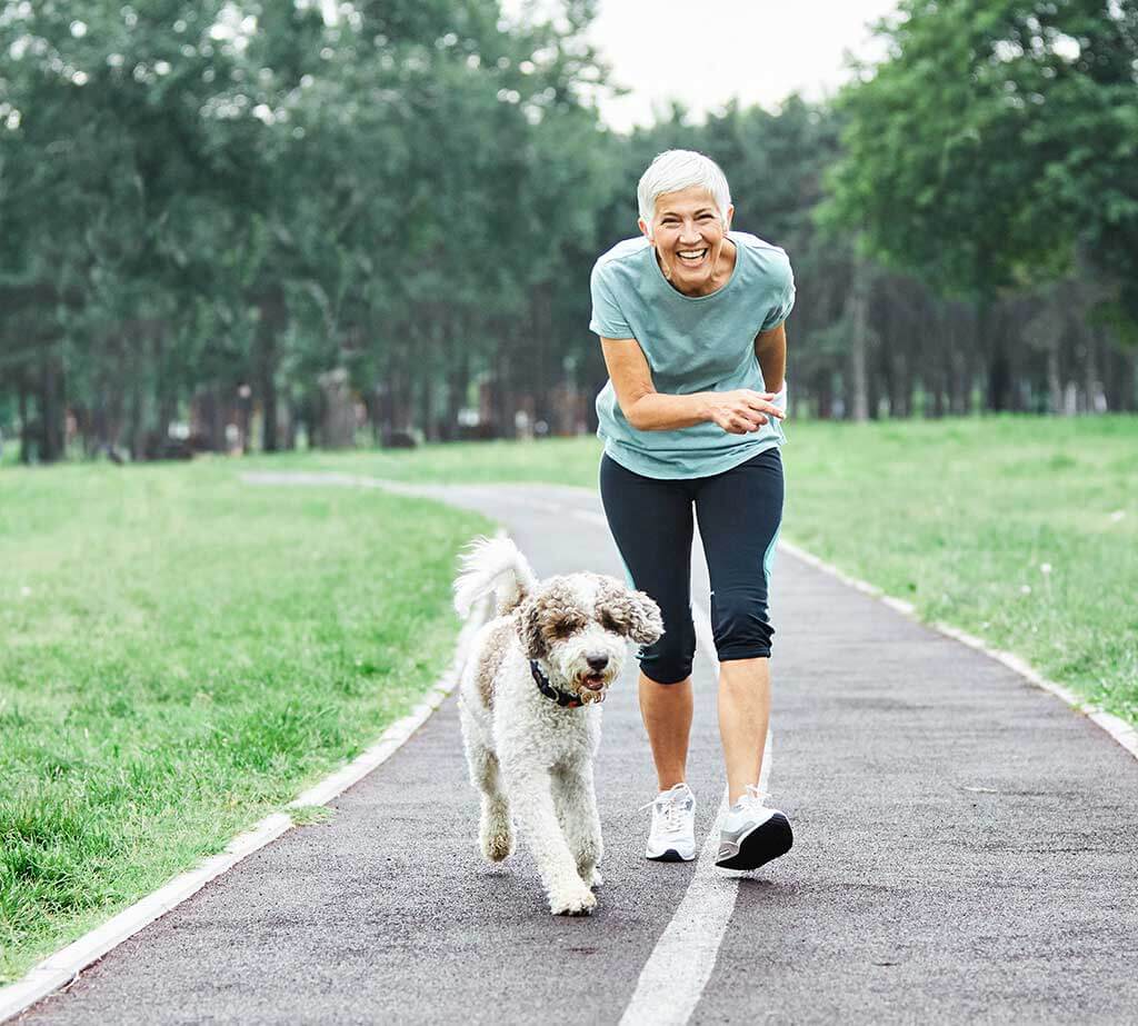 Exercising an Elderly Dog: Keeping Them Active and Healthy - Considerations for exercising an elderly dog