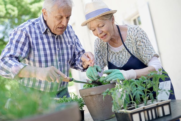 Senior couple planting aromatic herbs in pot