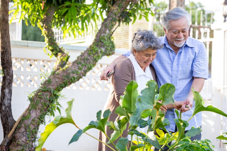 Smiling mature couple engaged and watering plant in garden front home