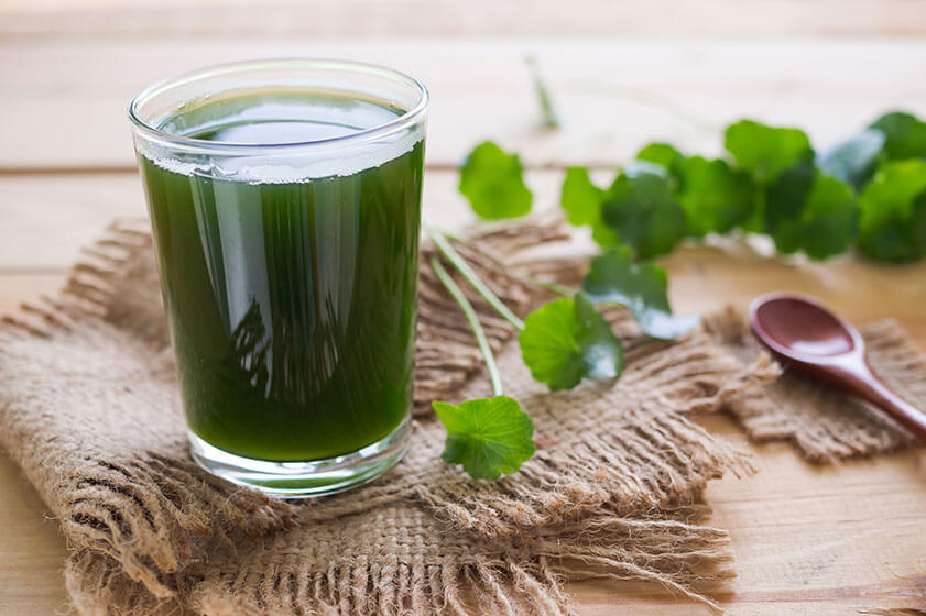 How Can Seniors Reduce Inflammation In The Body?