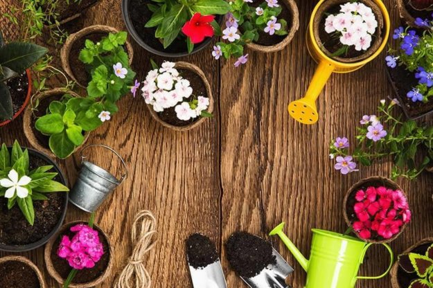 Senior-Friendly Autumn Activities Senior-Friendly Autumn Activities