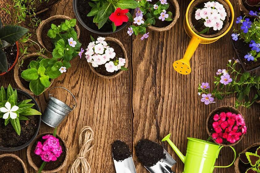 Senior-Friendly Autumn Activities