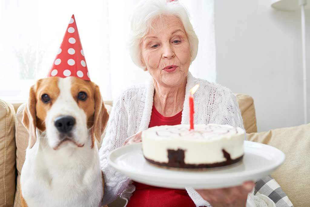 white-haired senior woman blowing candles on birthday cake sitting with dog white-haired senior woman blowing candles on birthday cake sitting with dog