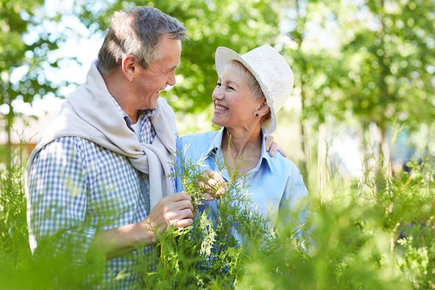 Waist up portrait of loving senior couple looking at each other