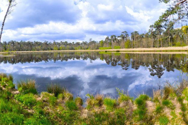 Mastbos Forest, Breda, Netherlands Enjoying Environmental Wellness When Retiring In Hobart, IN Senior Living