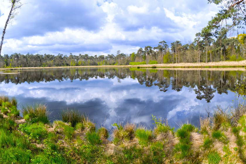 Mastbos Forest, Breda, Netherlands Enjoying Environmental Wellness When Retiring In Hobart, IN Senior Living