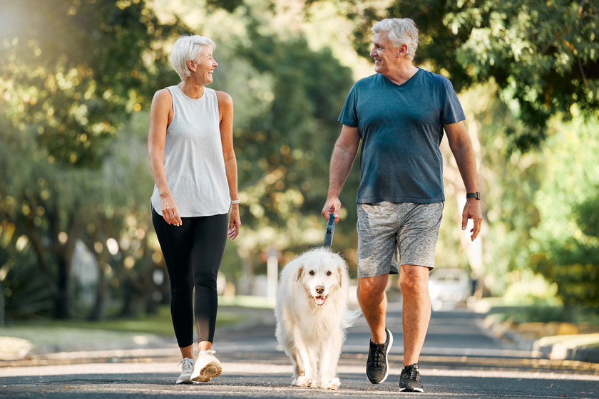 Retirement, fitness and walking with dog and couple in neighborhood park for relax, health and sports workout. Love, wellness and pet with old man and senior woman in outdoor morning walk together 3 Reasons Why Retirement Centers Near Parks Are Popular Among Seniors