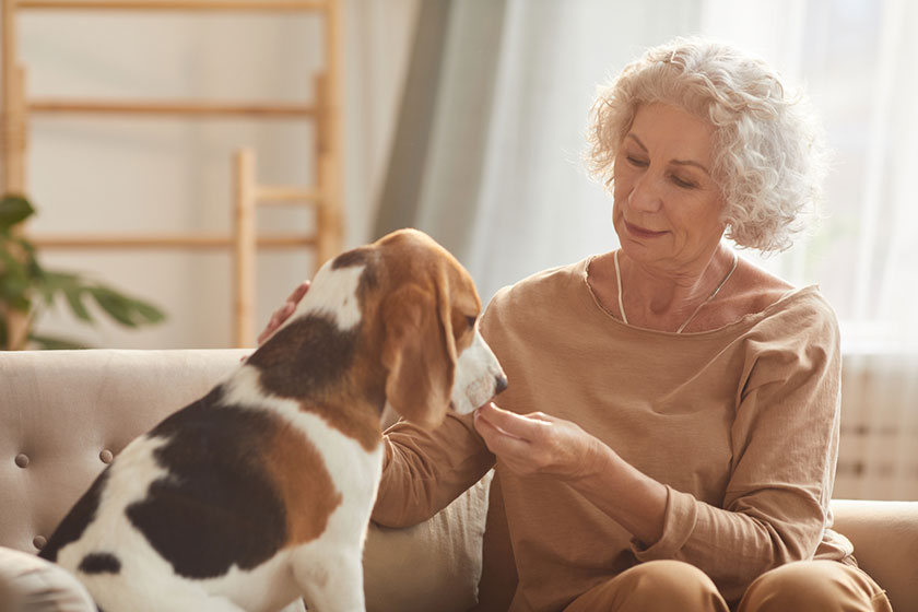 senior woman playing with dog