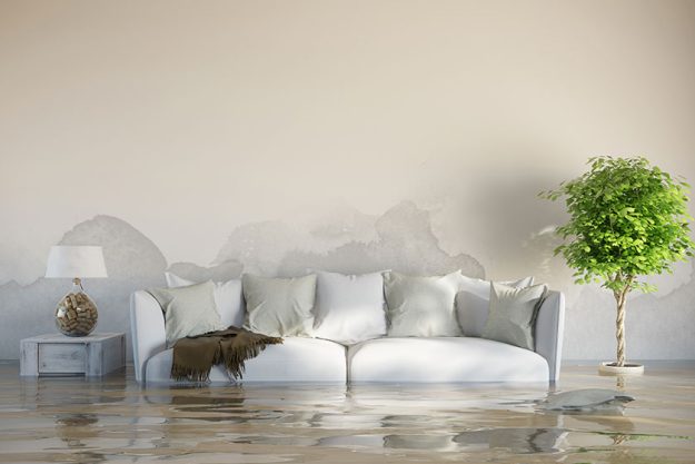 Here’s Why Seniors Suffer The Most From Flood Damages In Reading, PA Here's Why Seniors Suffer The Most From Flood Damages In Reading, PA