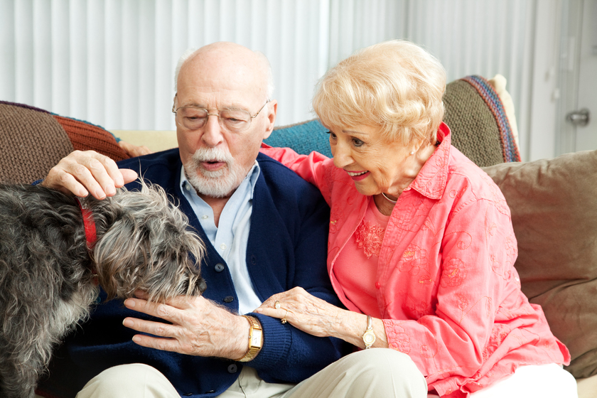 Senior Couple – Dog Lovers Senior Couple - Dog Lovers
