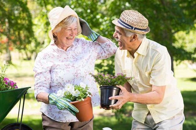 Happy senior couple gardening Happy senior couple gardening