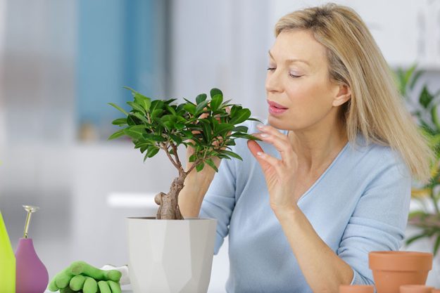 Boosting Your Creativity While Aging In An Active Senior Living Home In Michigan City, IN Boosting Your Creativity While Aging In An Active Senior Living Home In Michigan City, IN