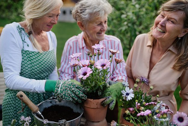 Happy senior women friends planting flowers together Happy senior women friends planting flowers together