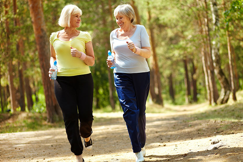 recreation Recreation