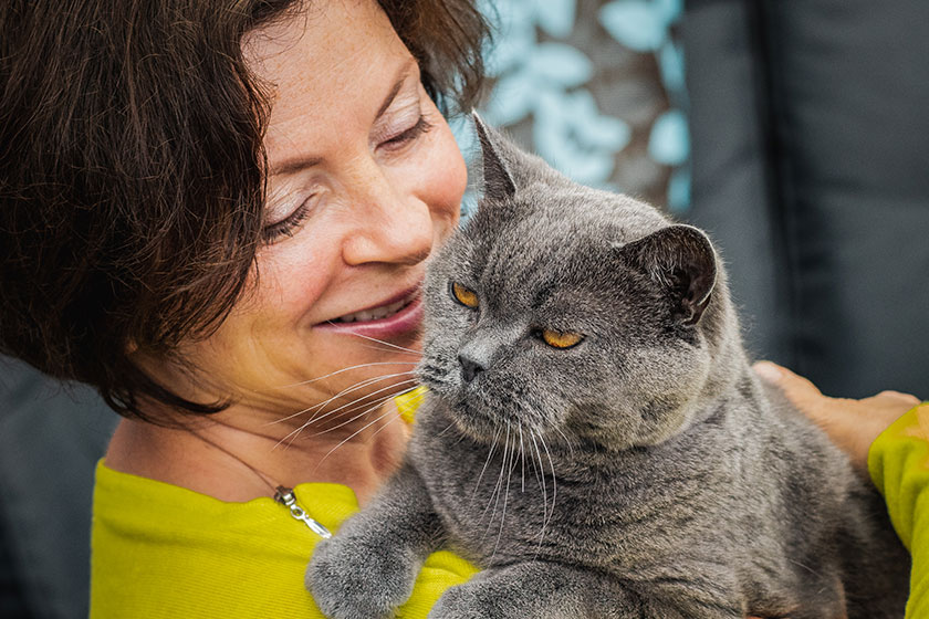 Woman in yellow clothing holding her lovely Senior Britis shorthair cat
