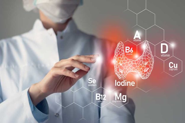 Essential nutrients for Thyroid Gland health including Iodine, Selenuim, Vitamin B6, Cuprum. Blurred portrait of doctor holding highlighted red Thyroid Gland. Essential nutrients for Thyroid Gland health including Iodine, Selenuim, Vitamin B6, Cuprum. Blurred portrait of doctor holding highlighted red Thyroid Gland.