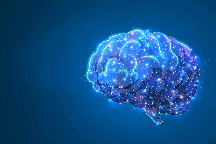 Human Brine. Organ anatomy, neurology, healthy body concept. Polygonal image on blue neon background.