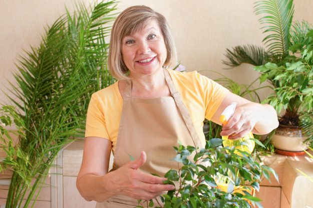How Gardening Keeps Seniors Physically Active How Gardening Keeps Seniors Physically Active