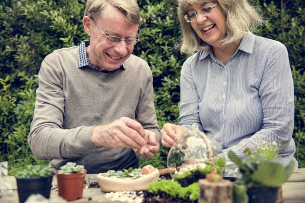 Outdoor Spaces As Essential Elements In Personal Elderly Care Outdoor Spaces As Essential Elements In Personal Elderly Care