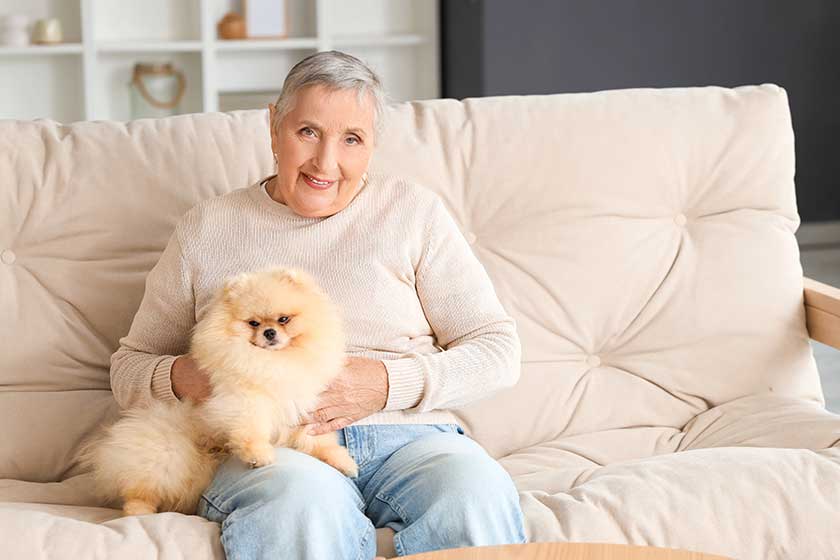 Senior-woman-pomeranian-dog-resting-sofa-home Senior-woman-pomeranian-dog-resting-sofa-home