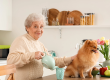 Senior woman with Pomeranian dog pouring tea