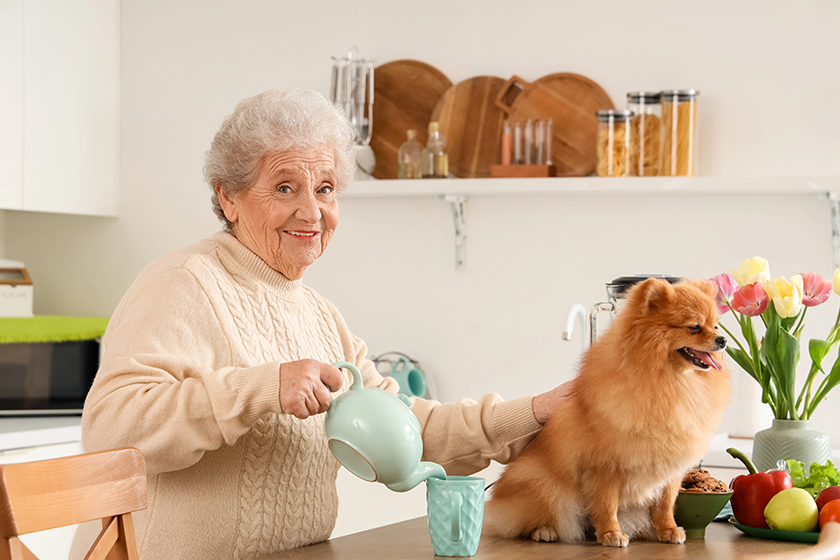 senior-woman-pomeranian-dog-pouring-tea Senior woman with Pomeranian dog pouring tea