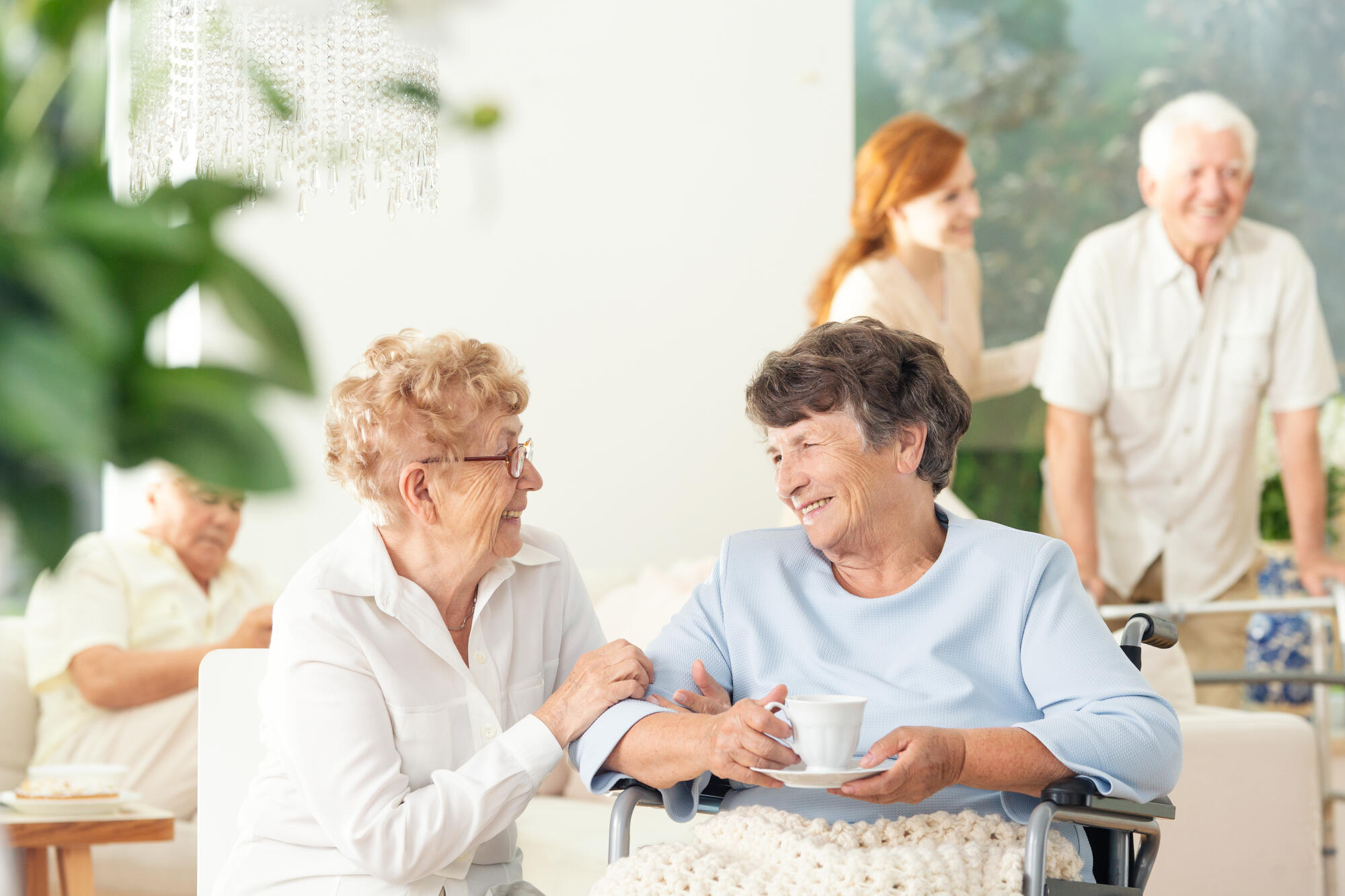 Front,View,Of,Two,Happy,Geriatric,Women,Talking,And,Holding
