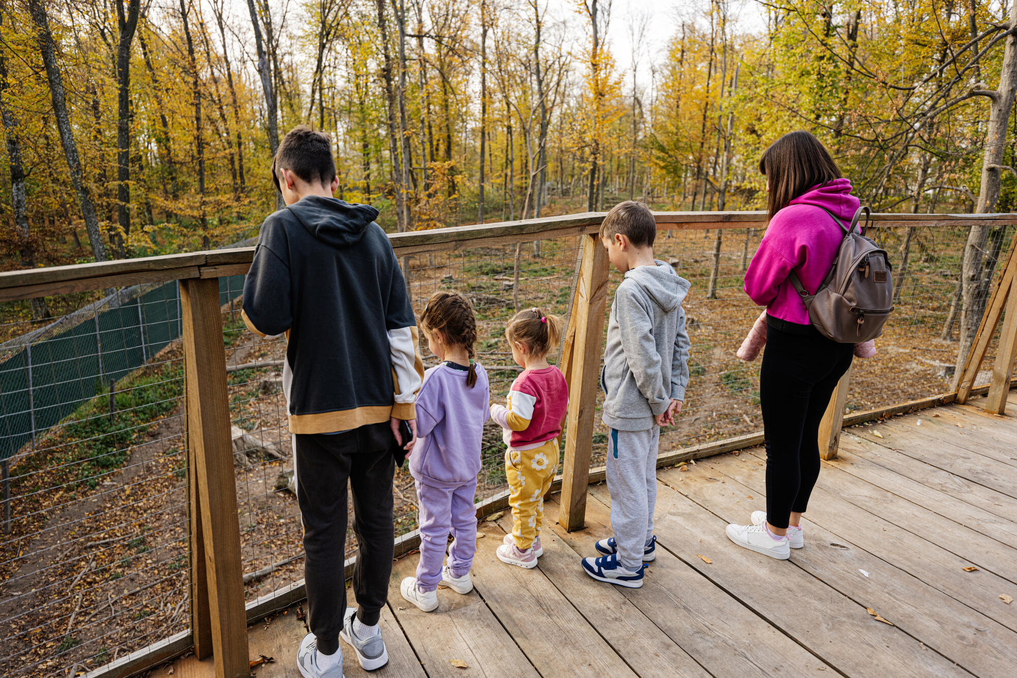 Family with four kids looking at wild animals from wooden bridge